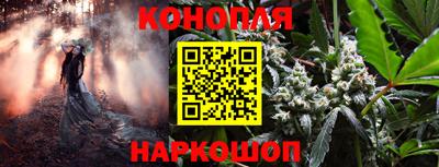 твердый Сланцы