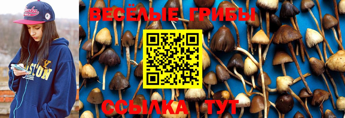 Псилоцибиновые грибы Magic Shrooms  Вход с VPN  закладки  Галлюциногенные грибы GOLDEN TEACHER  Наро-Фоминск 
